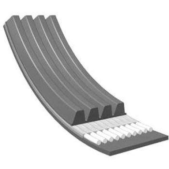 Correa trapecial poli V MEYLE 050 004 1013
