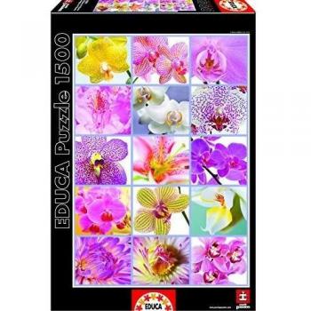 Educa Borrás- Flores Puzzle, Color