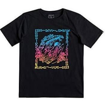 Quiksilver - Camiseta - Niños 8-16 - Negro