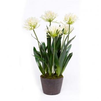 Emerald Planta de Agapanto Artificial 75 cm Crema Flores Secas Hogar Jardín