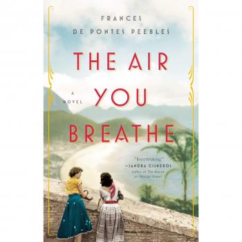 The Air You Breathe: A Novel of Love and Resilience