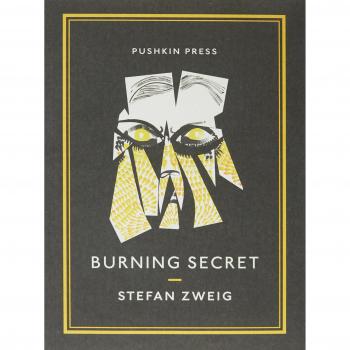 Burning Secret Pushkin Collection by Anthea Bell translator Paperback Book