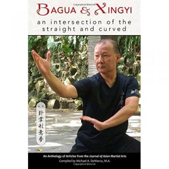 Bagua and Xingyi: An Intersection of the Straight and Curved