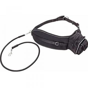 Riñonera Flamingo con Correa Ajustable para Perros