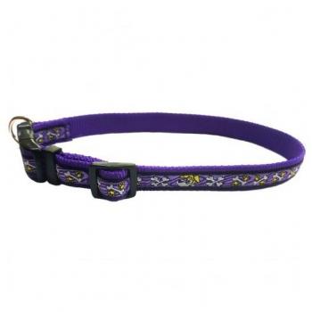 Collar Bully Morado 20x350-500mm