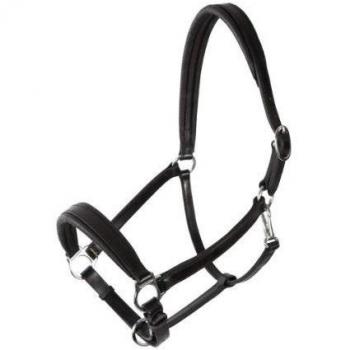 PFIFF Platino, Piel – Cabestro Dundee, Negro Full
