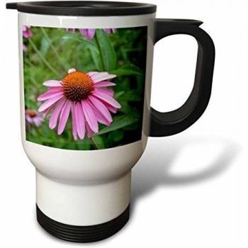 3dRose TM _ 25594 _ 1 equinácea Floral Taza de viaje, 14-Ounce, acero inoxidable