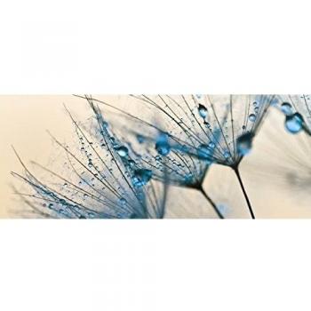 Eurographics dt20025 Deco Glass Big Dandelion Seed, 50 x 125 cm