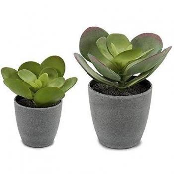 Ibergarden S3603277 Maceta