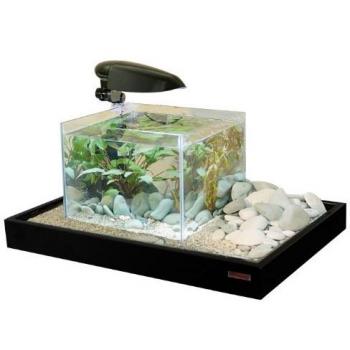 Acuario de cristal Zen Artist Combi Negro