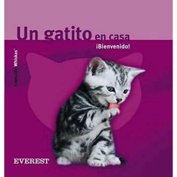 Un gatito en casa. ¡Bienvenido!