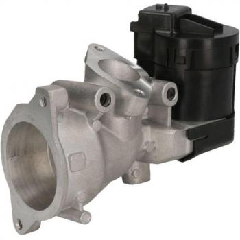 Válvula EGR Delphi EG10591