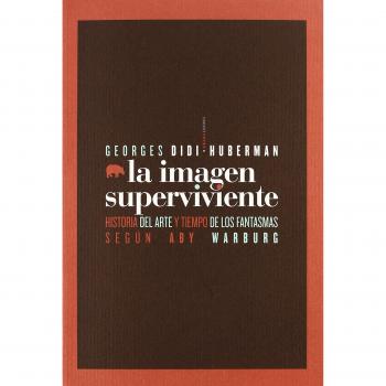 Imagen Superviviente,La