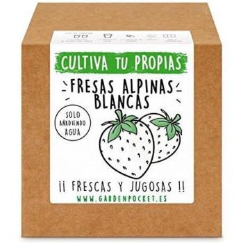 Garden Pocket - Kit Cultivo Fresas Blancas