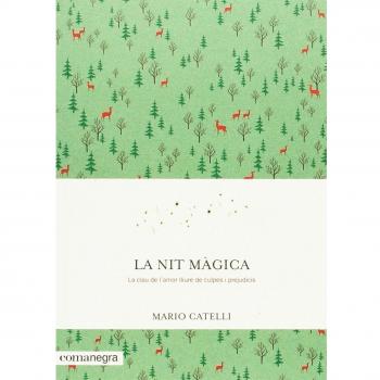 La nit màgica