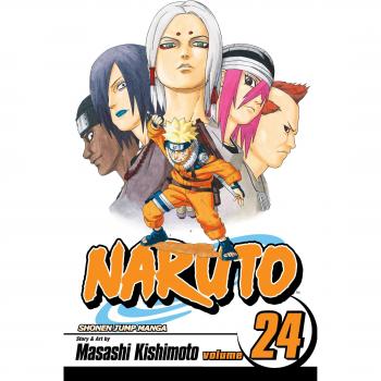 Naruto: v. 24