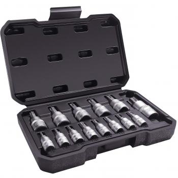 TACKLIFE Llaves de vaso Torx Juego Profesional, 14 Piezas, Aleado S2, Alta Precisión, Herramientas Manuales, Portátil, Para Reparar Motocicletas, Bicicleta, Muebles - TBS1A