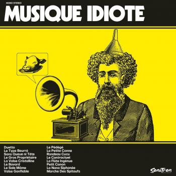 Musique Idiote VINYL