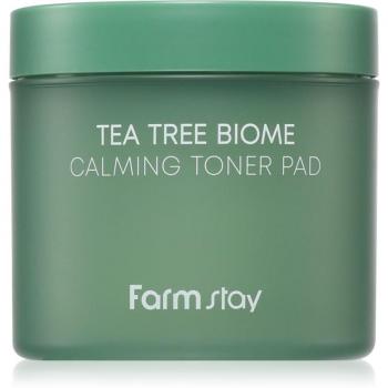 Farm Stay - Tea Tree Biome Calming Toner Pad 140ml