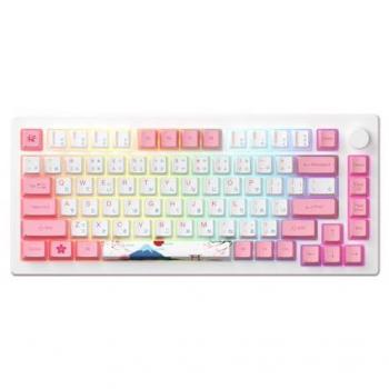Akko MOD 007B HE PC Wireless RGB Gaming Keyboard with Magnetic Switches and Rapid Trigger
