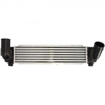 Intercooler THERMOTEC DA03004TT - Radiador de aire de admisión para mejorar rendimiento y eficiencia
