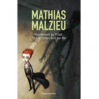 Maintenant qu'il fait tout le temps nuit sur toi