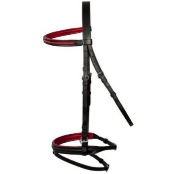 PFIFF Basicline - Brida para Caballo