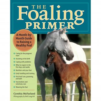 Foaling Primer