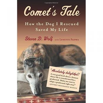 Comet's Tale: How the Dog I Rescued Saved My Life (Paperback Edition)