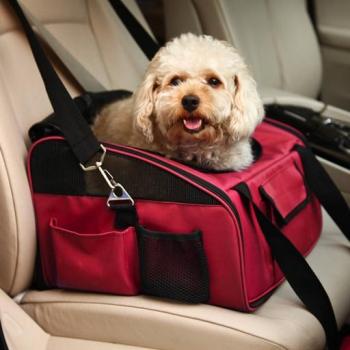 Transportín Car Bag Rojo para Perros Pequeños y Gatos