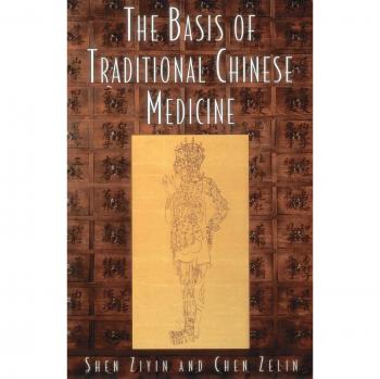Shen Ziyin's Essential Guide to Traditional Chinese Medicine - Paperback Edition