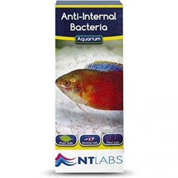 NT Labs NT479 Anti-Internal Bacterial Medicamento