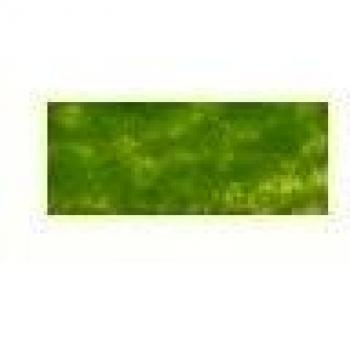 Derwent C450 Coloursoft – Lápices de color amarillo verde