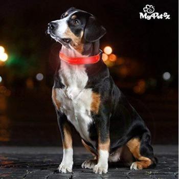 Collar LED para Perros My Pet EZ