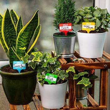 Bubblegum Stuff Plant Name Badges - Garden Tools, Tool Set, Plant Labels for Outdoor Plants, Plant Labels for Seedlings, Gardening Equipment, Seed Labels - Garden Gadgets - Pen Included