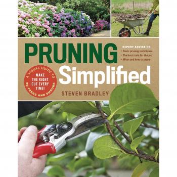 Pruning Simplified