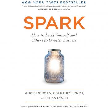Spark: A Leadership Guide to Personal and Team Success by Angie Morgan