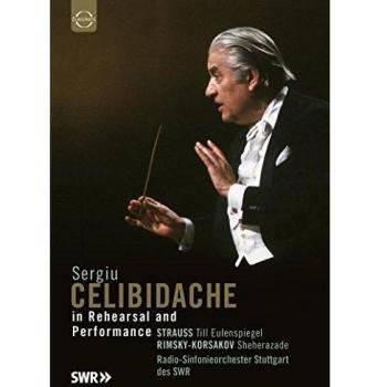 Celibidache: In Rehearsal & Performance [DVD] [2007]