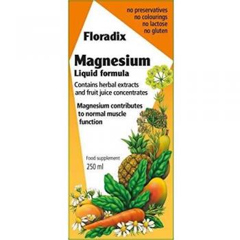Floradix Magnesium Liquid Mineral Supplement 250ml