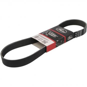 Correa acanalada en V GATES 8PK954EST, correa trapecial poli V, longitud de 954 mm, perfil de 8 pistas, fabricada por GATES