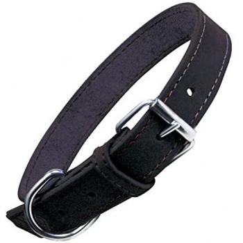 Collar para Perro de Cuero Gloria Oasis Negro 60 cm (60 x 3 cm)