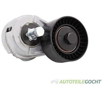 LUK 534010920 Tensioner