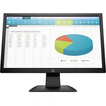 P204 19.5'' Monitor