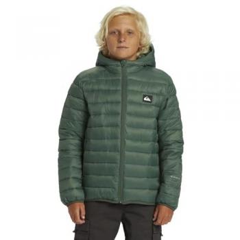 Chaqueta Verde Quiksilver Scaly para Niños