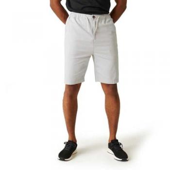 Regatta Men's Aldan Casual Chino Shorts, Silver Grey, Size 38