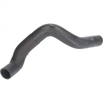 Manguera del radiador THERMOTEC DWF249TT - Tubería de radiador, compatible con múltiples modelos de vehículos, fabricada en material resistente a altas temperaturas y presiones, longitud específica para instalación precisa, incluye conexiones adecu