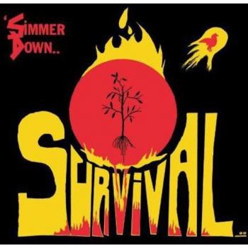 Vinilo Simmer Down - Reductor de Estrés y Relajación