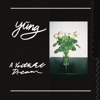 Vinyl Youthful Dream Essence