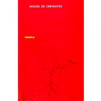 Los cuentos del Quijote: 13 - Miguel De Cervantes
