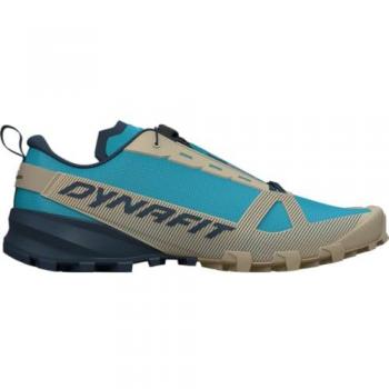 Zapatillas de Trekking Dynafit Traverse Azul Gris 44